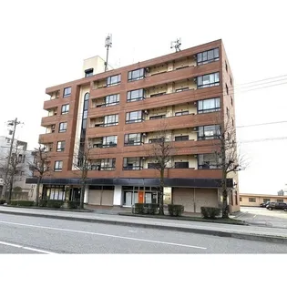 グレイス高尾【5階】の外観