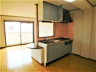 ハイツサニックスII【3階】のキッチン