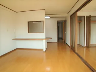 ハイツサニックスII【3階】の内装