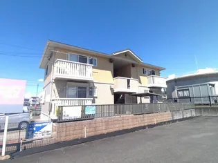 カラコレスの画像