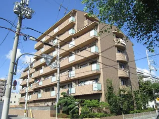 ハーヴィス カエロンの画像