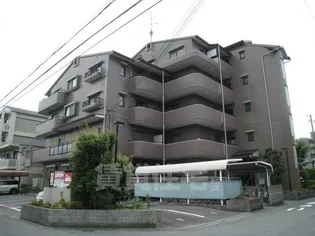 グレイスつじの画像