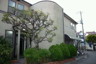 ウィングコートの画像