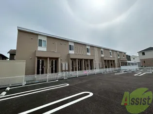 トータスVの画像