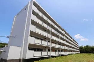 ビレッジハウス大嶺2号棟の画像