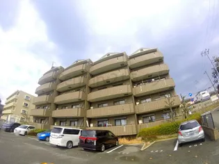 宝塚彩悠館の画像