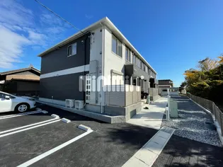 リコリスの画像