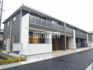 プリムローズの画像