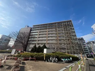 ステラテラス【8階】の外観