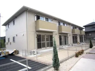 ホワイトクローバーの画像