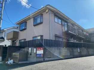 マツノキ30の画像