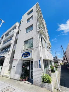 カシマハイツ【4階】の外観