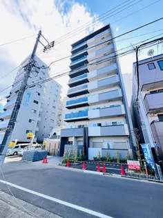 Lespedeza(レスピディーザ)しょうなん【9階】の外観