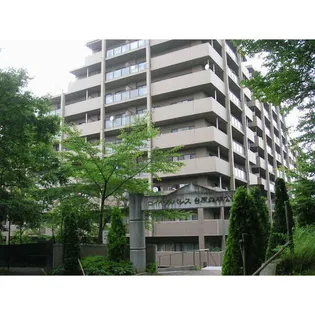 ロイヤルパレス台原森林公園梢の森【13階】の外観