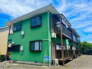 ファインヒルマツバの画像