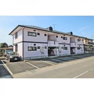 アムール金井の画像