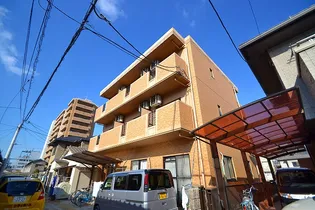 シャンス増岡の画像