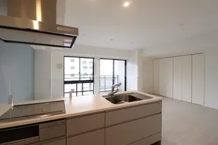 サンリベラ・プライム天神大名レジデンス【5階】のキッチン