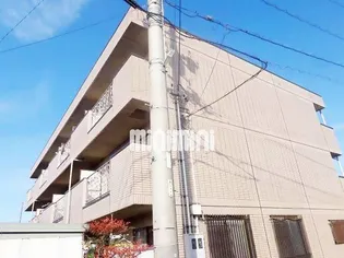 ミューズ ポカホンタスの画像