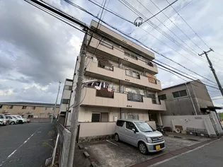 ソレイユ33の画像