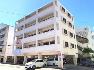 メープルの画像