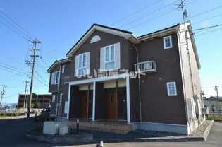 ボニートの画像