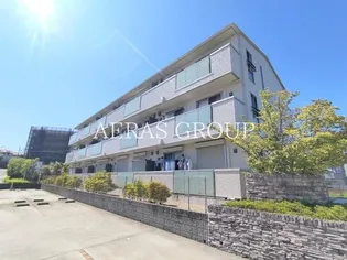 ピアチェボーレの画像