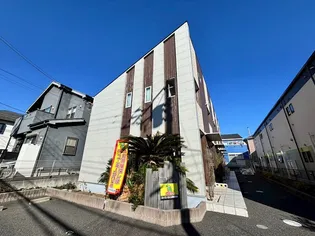 PALMA FORESTAの画像