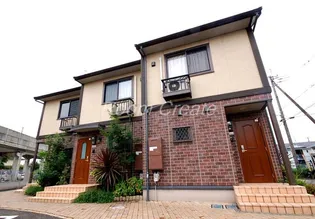 エヴァーグリーンの画像