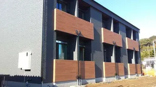 ハイム法の木の画像