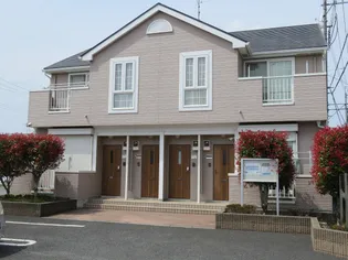 エクセランの画像