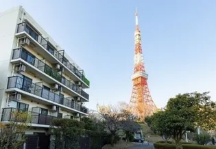 ラフィーヌ芝公園【3階】の外観