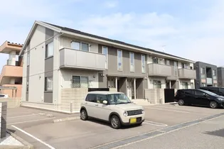 バンブカーサの画像