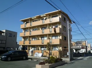 SEISHELLの画像
