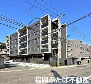 EREINAの画像