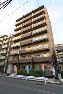 ELVITAの画像