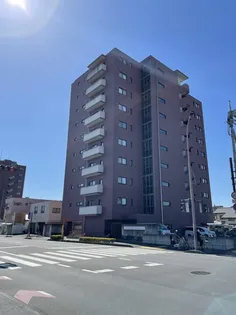 アドヴァンスナガイIII【9階】の外観