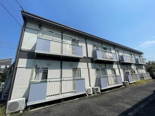 パナハイツ杉 NO 1の画像
