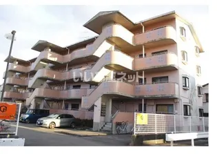 アドミラル オズの画像