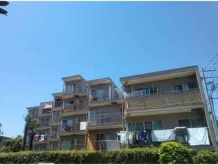 ライオンズマンション沢渡【4階】の外観