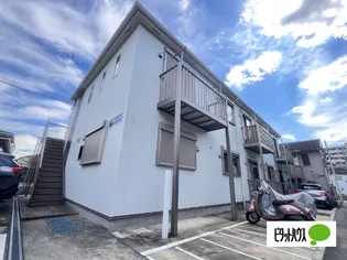 コルテーゼIIの画像