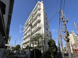 アイビハイツ柴又の画像