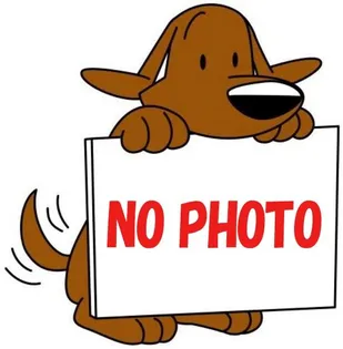 F ASECIA FONTEの画像