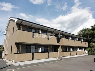 サニーウエルスの画像