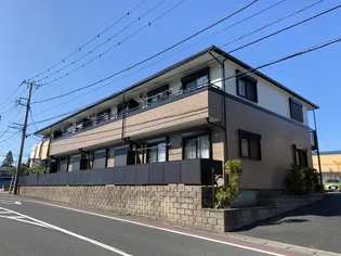 セルチャートIIの画像