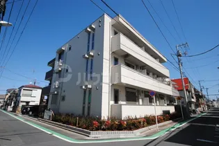 アルトテラの画像