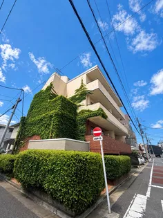 パークヒル上池台の画像