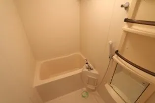 セレスティアル新居浜【4階】の風呂