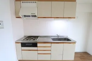 セレスティアル新居浜【4階】のキッチン