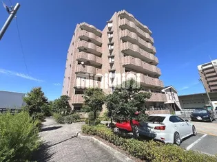 DORF GLORIAの画像